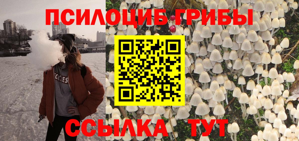 Галлюциногенные грибы Cubensis  Вход с VPN  Муравленко 